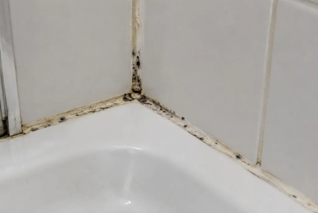 Kitbedrijf Breda – beschimmelde kitranden